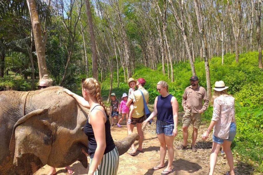 Krabi: Elephant Care House Guided Tour with Hotel Transfers - Key points worth clocking before you book