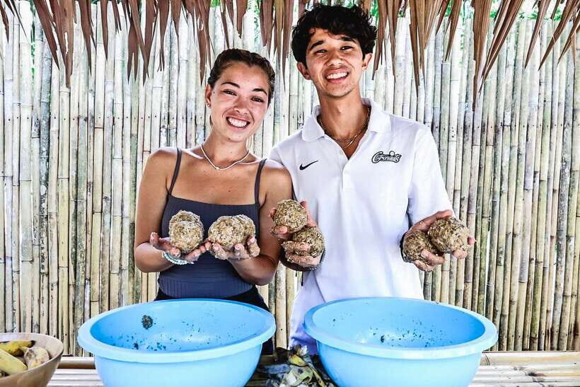 Krabi: Elephant Feeding Program - What’s Included (and What You’ll Need to Plan For)