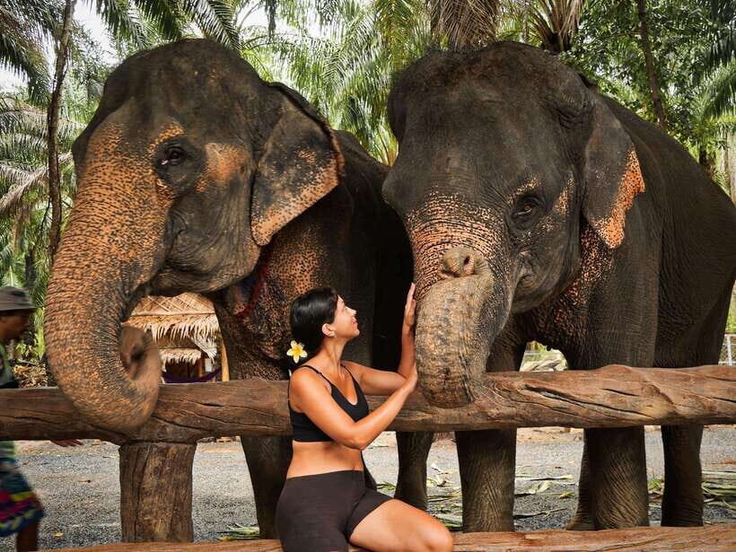 Krabi: Elephant Feeding Program - Krabi Elephant Feeding Program: What It Is and Why It’s Worth Your Time