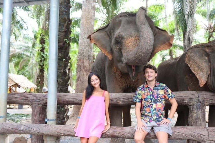 Krabi: Elephant Feeding Program with Food Preparation - Price and value: is $27 a fair deal?