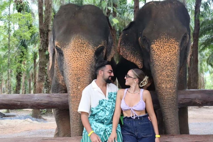 Krabi: Elephant Feeding Program with Food Preparation - What’s included (and what you need to plan for)