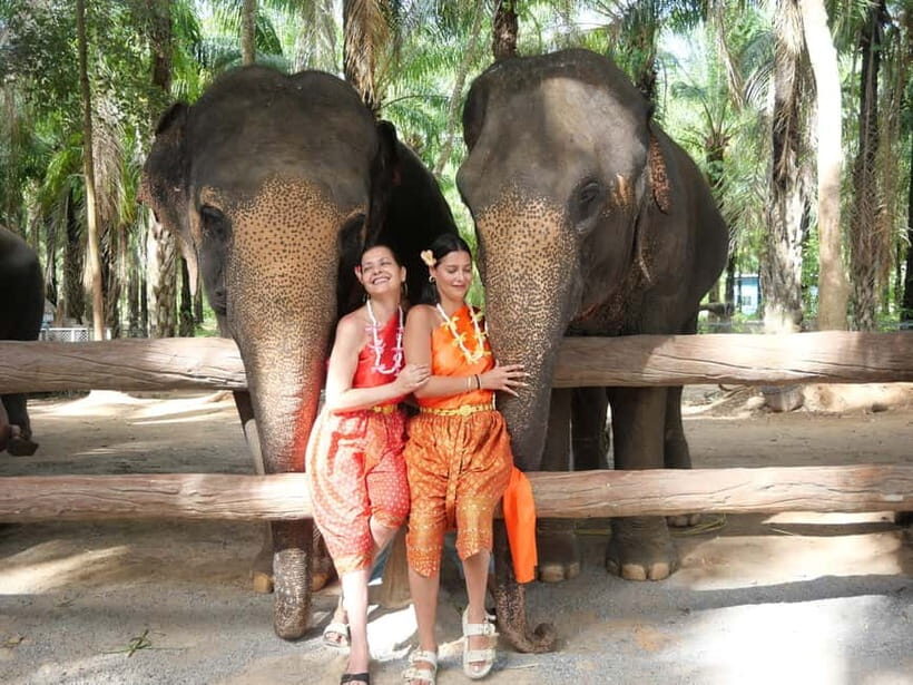 Krabi: Elephant Feeding Program with Traditional Thai Dress - A quick schedule with real pickup time: how to plan your day