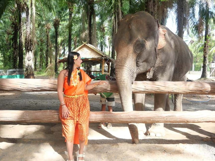 Krabi: Elephant Feeding Program with Traditional Thai Dress - Mahouts and safe feeding: bananas or sugar cane, and why the lesson matters