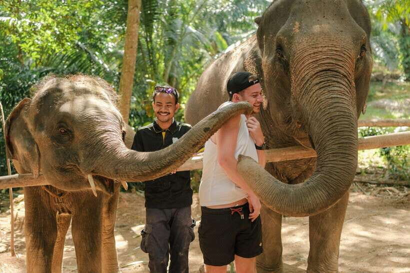 Krabi: Elephant Sanctuary (near Ao Nang) Visit - Key points to know before you go