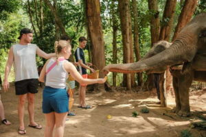 Krabi: Elephant Sanctuary (near Ao Nang) Visit - What Happens During the Feeding Program (and Why 30 Minutes Works)