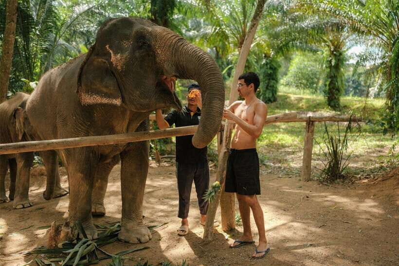 Krabi: Elephant Sanctuary (near Ao Nang) Visit - The Sanctuary Experience: Respect, Free-Roaming Style, and Close Contact Rules