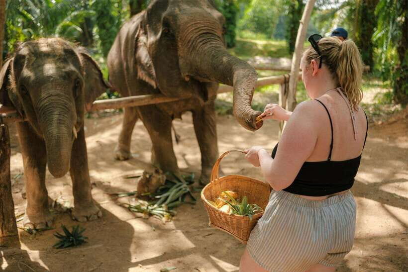 Krabi: Elephant Sanctuary (near Ao Nang) Visit - Timing Tips: Booking Early, Picking a Slot, and Making It Fit Your Day