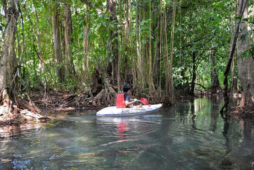 Krabi: Emerald Cool-Down & Kayak Odyssey in Din Daeng Canyon - Getting there: pickup options, Khao Thong viewpoints, and a quick start