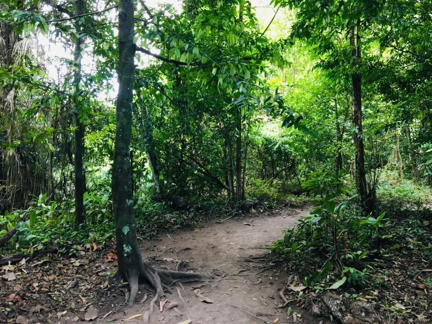 Krabi: Emerald Pool and Hot Springs Waterfall Half-Day Trip - A half-day jungle rhythm in Krabi’s Khao Phra Bang Khram Nature Reserve