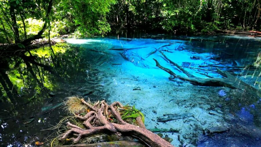 Krabi: Emerald Pool and Hot Springs Waterfall Half-Day Trip - Price and real value: $43 plus park fees and any extra transfer charges