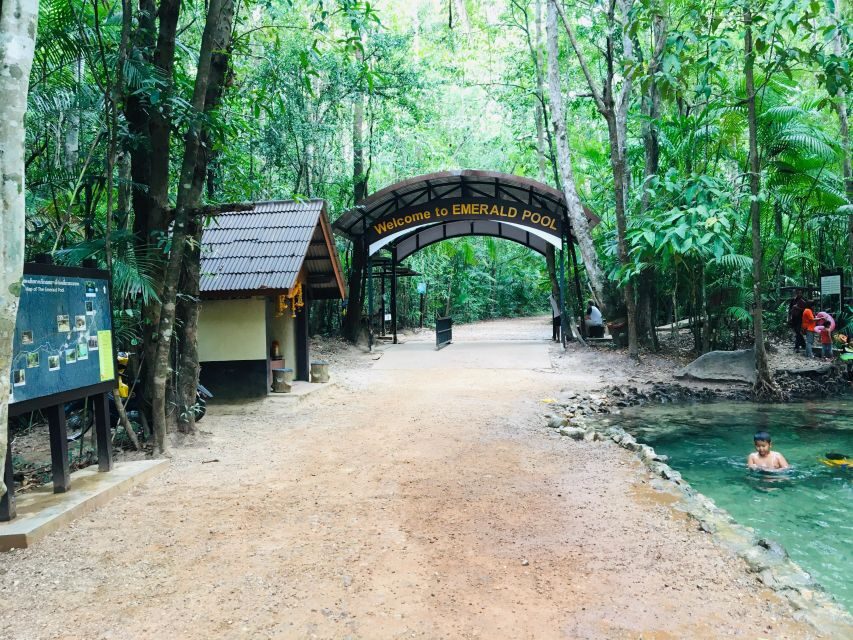 Krabi: Emerald Pool and Hot Springs Waterfall Half-Day Trip - Should you book this Krabi half-day Emerald Pool and Hot Springs tour?