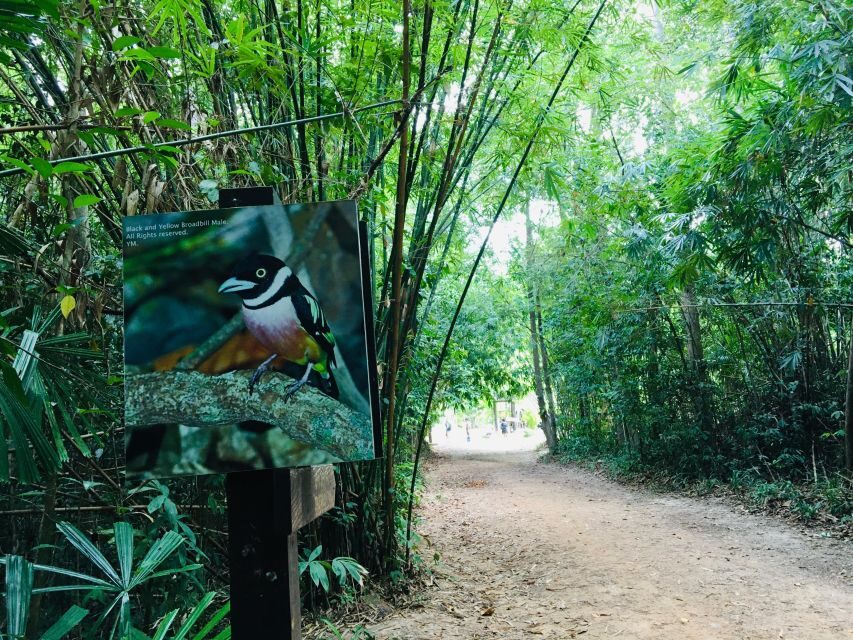 Krabi: Emerald Pool and Hot Springs Waterfall Half-Day Trip - FAQ