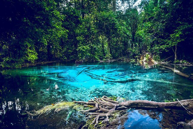 Krabi Emerald Pool, Hot Spring and Tiger Temple - Key points before you go