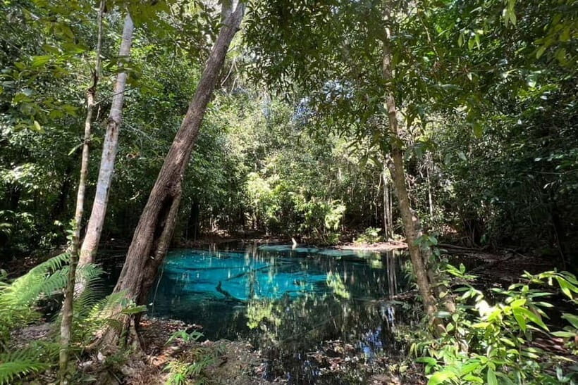 Krabi: Emerald Pool, Hot Springs, and Kayaking Tour - Who this Krabi tour is best for