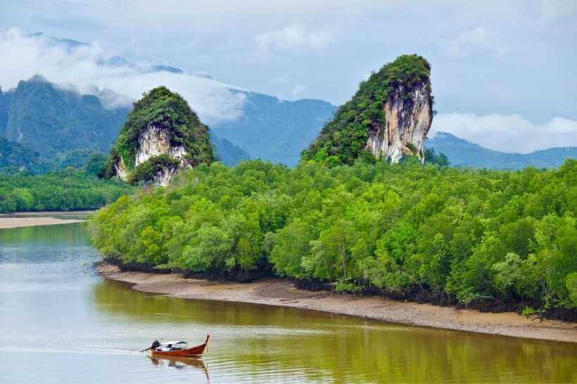Krabi: Emerald Pool, Hot Springs & Krabi Town Day Tour - Who This Tour Suits Best (and Who Might Skip It)