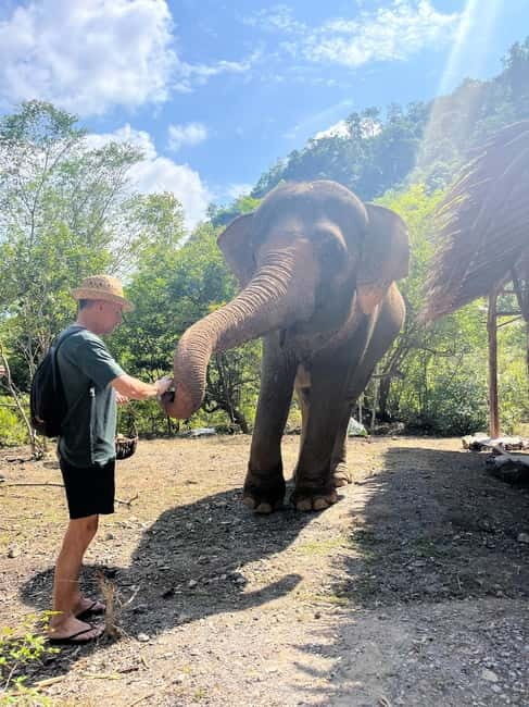 Krabi: Ethical Elephant Sanctuary & Tiger Cave Temple Tour - What the Hotel Pickup and Managed Day Gives You