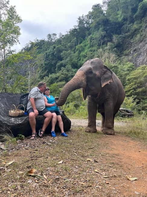 Krabi: Ethical Elephant Sanctuary & Tiger Cave Temple Tour - Value Check: Is $42 Really a Good Deal in Krabi?