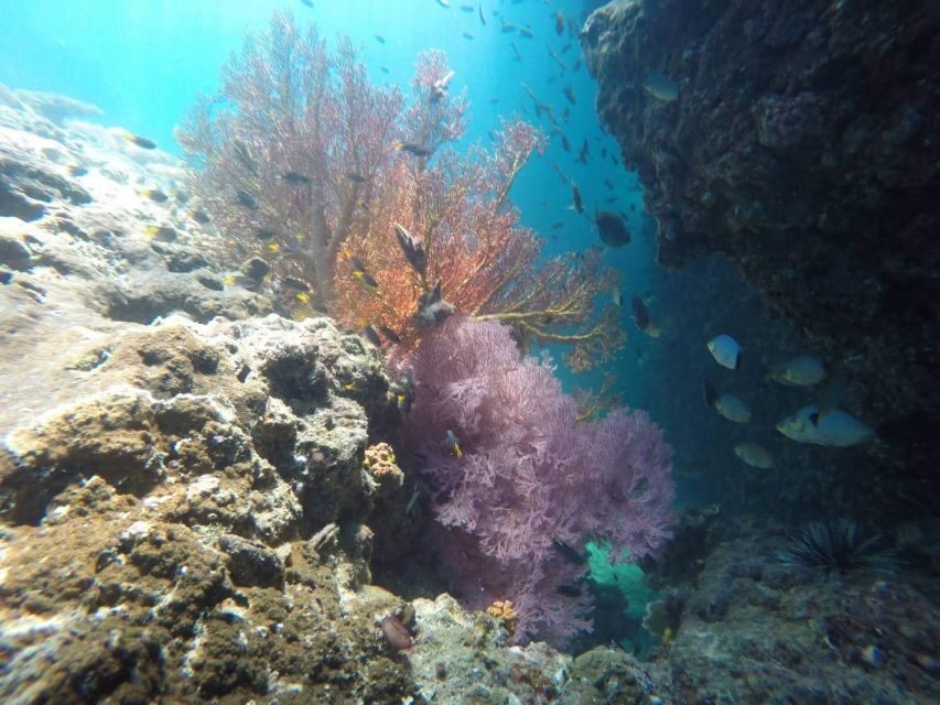 Krabi: Freediving and Snorkeling at Yawasam and Talu Island - Snorkeling and freediving breath-hold coaching: what to expect in practice