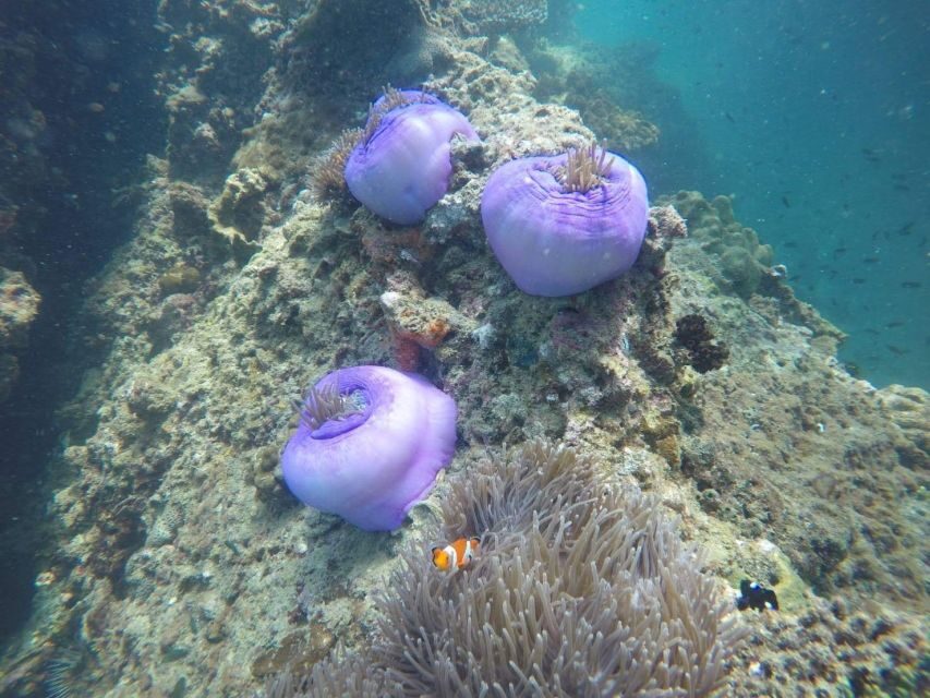Krabi: Freediving and Snorkeling at Yawasam and Talu Island - Railay pass-by: the view on the way back