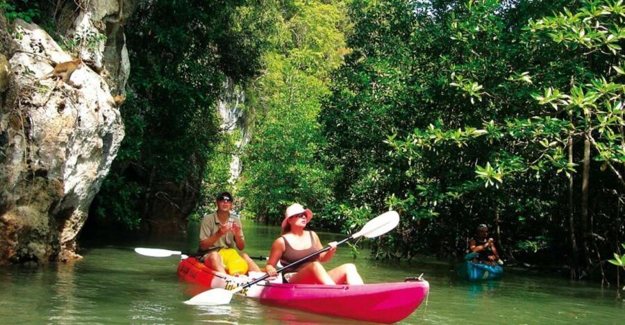 Krabi: Guided Kayaking Tour at Ao Thalane - Key points to know before you paddle