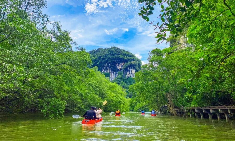 Krabi: Half-Day Bor Thor Mangrove Kayaking Tour - Lunch on the Water Break: What’s Included and What to Watch