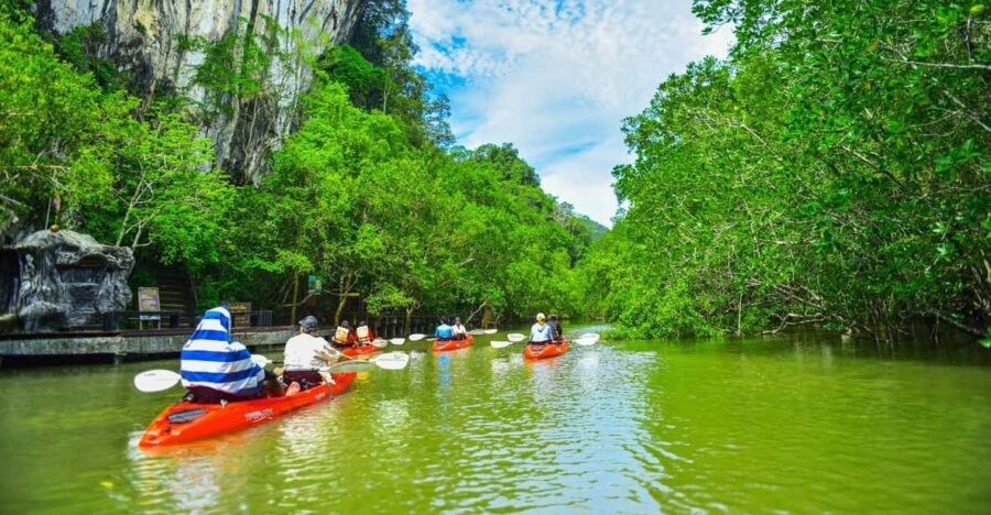 Krabi: Half-Day Bor Thor Mangrove Kayaking Tour - Pickup Routes and Timing From Ao Nang, Railay, and Krabi Town