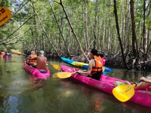 Krabi: Half-Day Kayak Adventure at Ao Thalane - Meeting Point, Transfer, and How Long It Really Takes