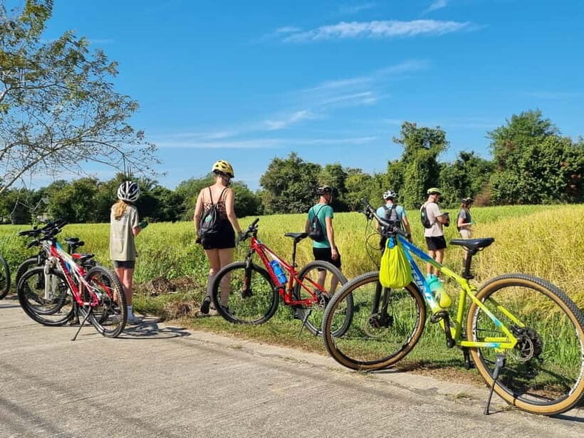 Krabi: Half-Day Koh Klang Culture Cycling Tour with Transfer - Price and Value: Is $64 a Fair Deal for 4 Hours?