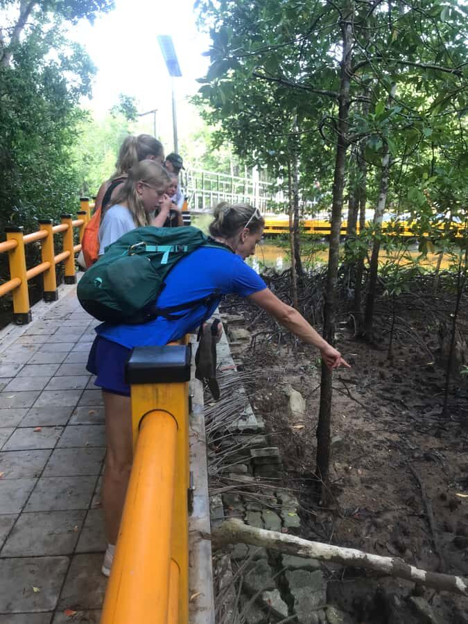 Krabi: Half-Day Mangrove Boat Trip And Khao Khanap Nam Cave - Photo Spots and What to Pack (Without Overthinking)