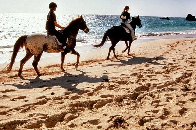 Krabi Horse Riding at Ao Nam Mao Beach - Key things to know before you book