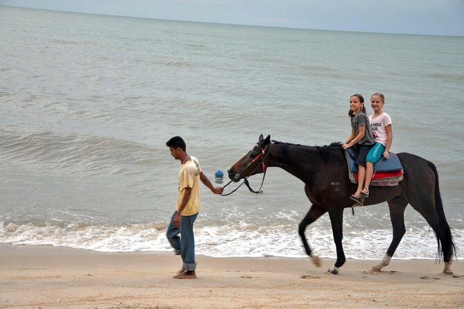 Krabi Horse Riding at Ao Nam Mao Beach - Basecamp and guides: how the experience stays friendly (or doesn’t)