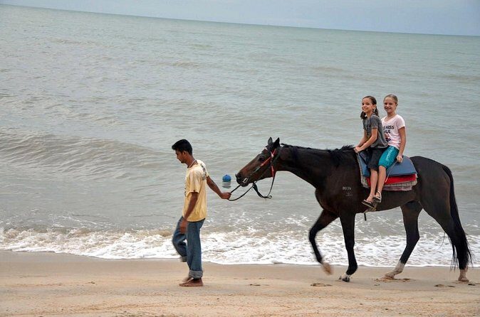Krabi Horse Riding at Ao Nam Mao Beach - Horse welfare: how to handle the one big red-flag concern