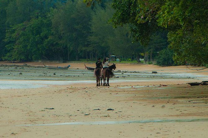 Krabi Horse Riding at The Beach - Optional swimming with your horse: when the extra THB makes sense