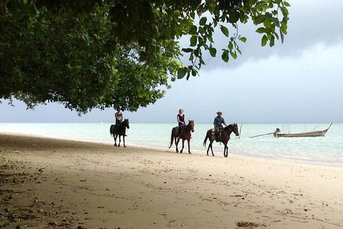 Krabi Horse Riding at The Beach - Price and value: what you’re really paying for