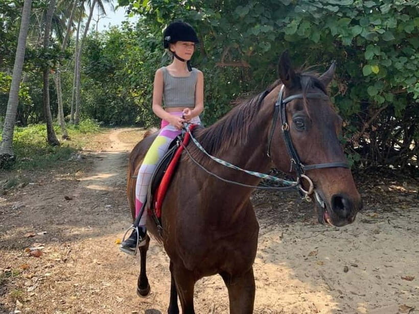 Krabi: Horse Riding On Klong Muang Beach - Semi-Jungle Return Trail Back to the Setup