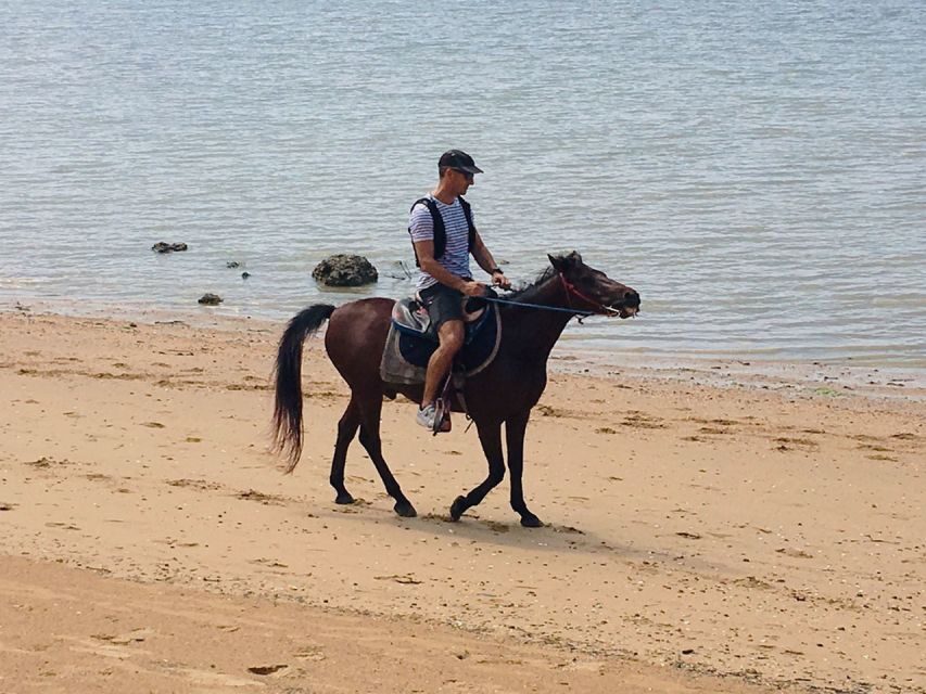 Krabi: Horseback Riding on the Beach - Countryside riding: villages and plantations between beach scenes