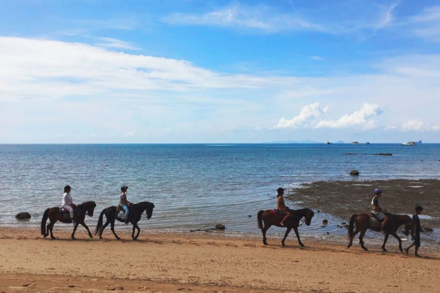 Krabi: Horseback Riding on the Beach - Mosquitoes, sand, and comfort tips that actually help