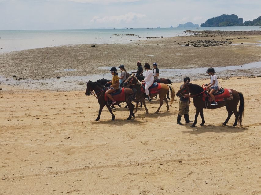 Krabi: Horseback Riding on the Beach - Who this tour suits best (and who should skip it)