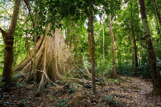 Krabi Jungle Adventure: Emerald Pool, Hot Springs & ATV - Pickup, Timing, and How to Keep the Day From Feeling Rushed