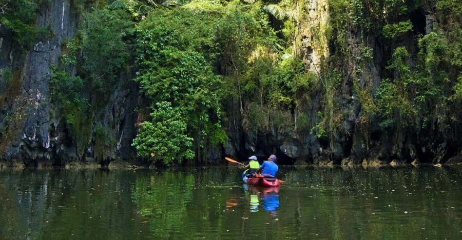 Krabi: Kayak Adventure through Ao Thalane Mangrove Forest - Why Ao Thalane Mangroves Are a Different Kind of Krabi View