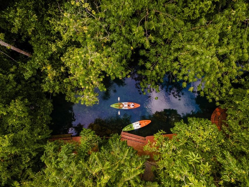 Krabi: Kayak Adventure through Ao Thalane Mangrove Forest - Wildlife encounters that feel natural, not staged