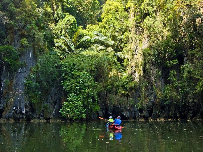 Krabi: Kayak Adventure through Ao Thalane Mangrove Forest - How hard is the paddle really? Fitness, tides, and first-timer tips