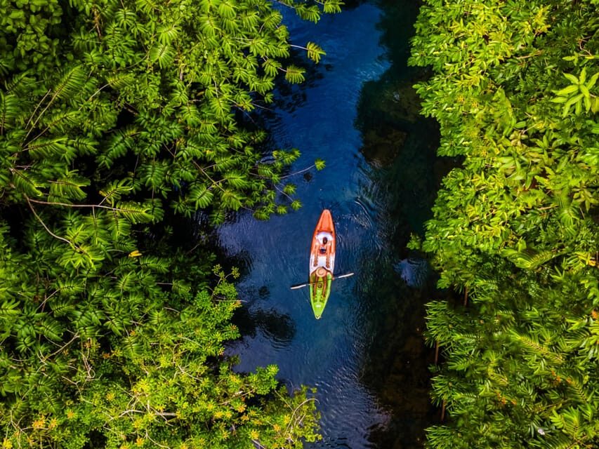 Krabi: Kayak Adventure through Ao Thalane Mangrove Forest - What’s included in the $38 price (and why it adds up)
