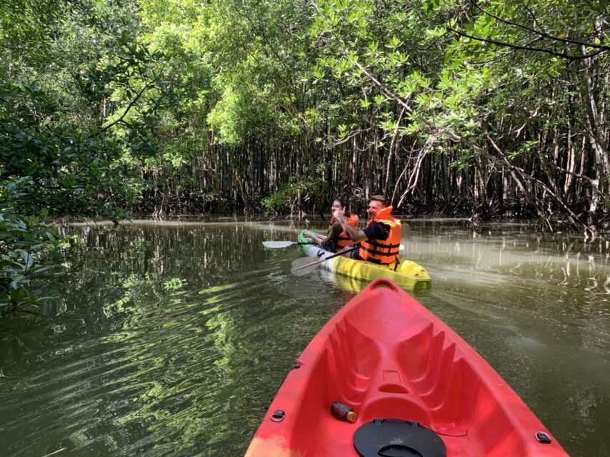 Krabi: Kayak in Mangrove Forest with Meal Aonang - Key highlights worth your time