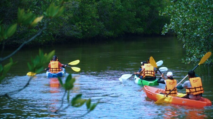 Krabi: Kayak in Mangrove Forest with Meal Aonang - Kayaking in Ao Nam Mao: What the Mangrove Channels Feel Like