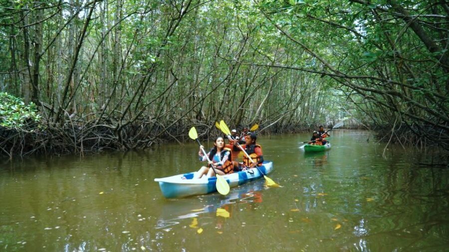 Krabi: Kayak in Mangrove Forest with Meal Aonang - Lunch in the Mangroves: What Included Food Tends to Be Like
