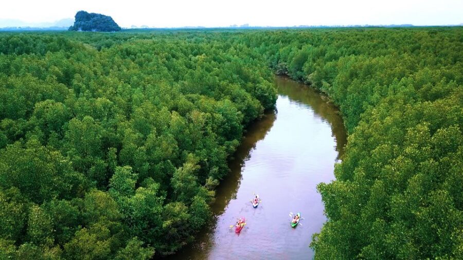 Krabi: Kayak in Mangrove Forest with Meal Aonang - Transfers, Gear, and the Small-Group Advantage