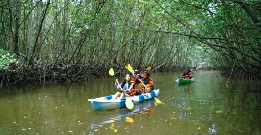 Krabi: Kayak in Mangrove Forest with Meal Aonang - What Could Go Wrong, and How to Plan Around It