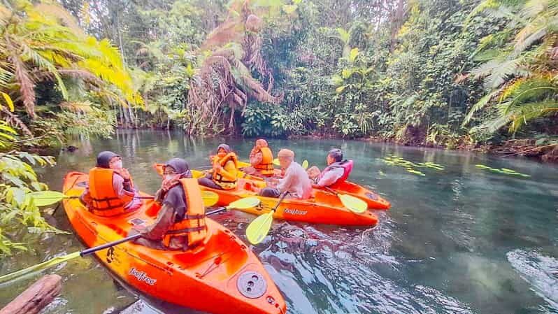 Krabi kayaking and swimming clongrood Tour - The rainforest-to-swim moment: what to expect and how to not get surprised
