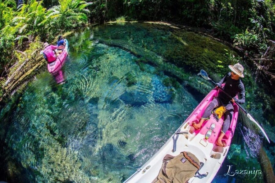 Krabi kayaking and swimming clongrood Tour - Fish life, photo time, and the return kayak glide